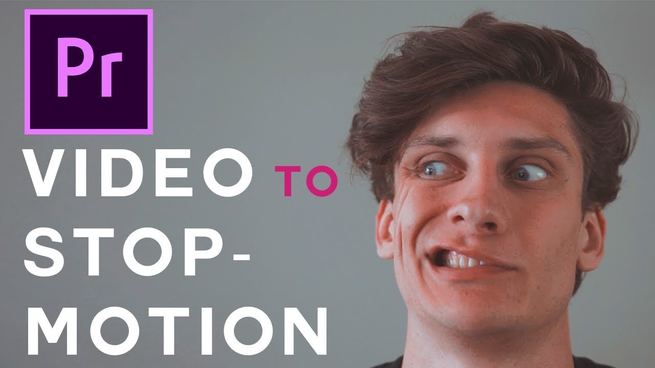 stop motion pro video